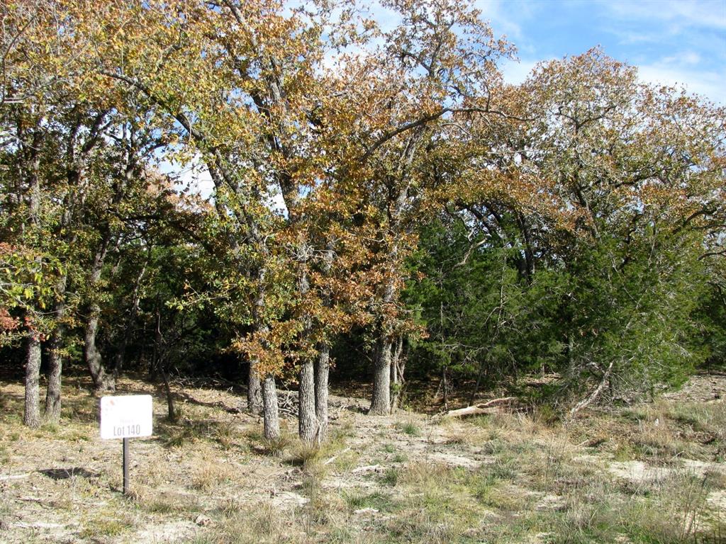 This 10.01-acre parcel of raw land offers a serene and private setting nestled within a gated subdivision. Surrounded by mature trees, the property provides a natural, peaceful environment ideal for a potential home site or a relaxing weekend getaway. Electricity and fiber optic internet are readily available, ensuring modern conveniences, while a water well will need to be installed. Ideally situated, it’s just about 30 minutes from Gatesville, Hamilton, Goldthwaite, and Lampasas. Whether you're looking to build your dream home or create a retreat in the country, this property presents a versatile opportunity.