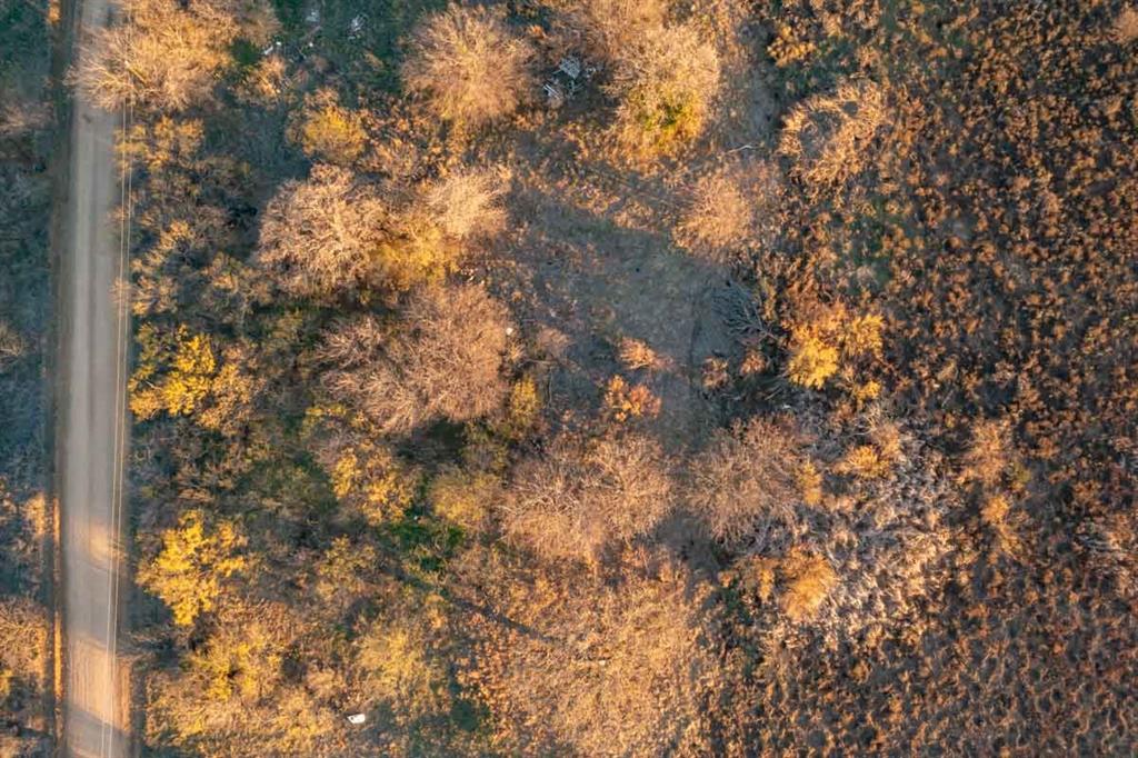 Hubbard Lake Shores - Land