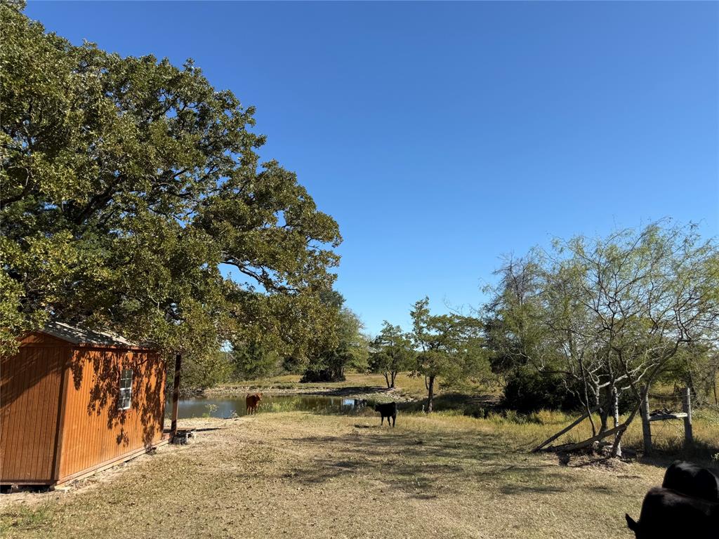 Peaceful 16 and a half acres located in Teague and priced to sell.  Plenty of wide open acreage to build a home or have your cattle and horses roam.  The land is mostly level but slightly rolling and is cleared with some trees throughout and along the perimeter.  Two sides are fenced and there are approximately 1.5 ponds located on the property, as well as a seasonal creek! Land is located down a private easement and there is one gas well at the front of the property. Please schedule an appointment for your personal showing. Thank you.