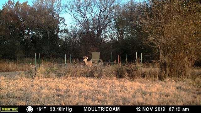 J McDaniel - Farm