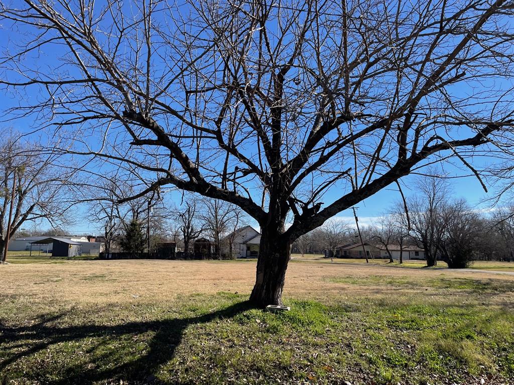 Nice lot with nice houses all around. Close to school. This lot is an open, level lot, on a corner with several options for building. City streets on 3 sides. Great investment opportunity. City lot with city amenities and a few nice trees.