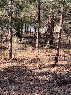 Rustling Oaks Estates Ph III - Land