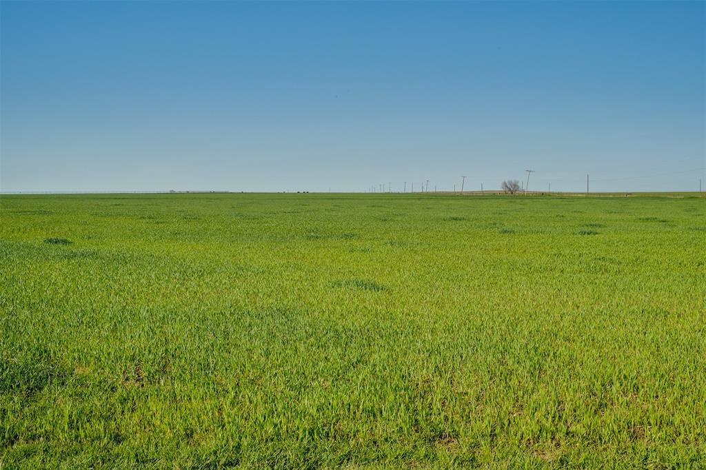 NA - Farm