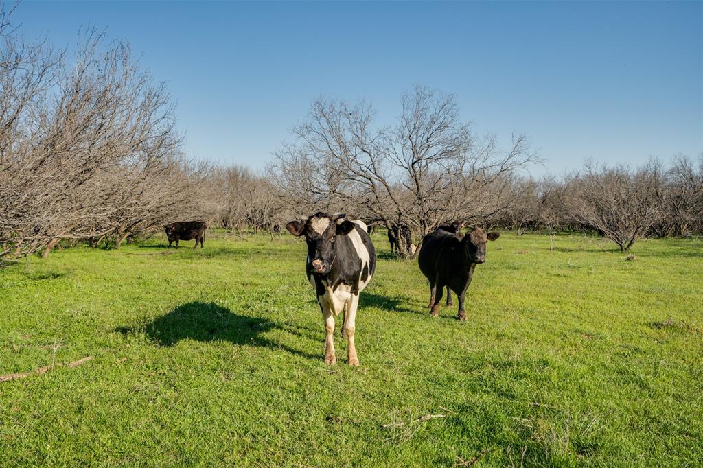 NA - Farm