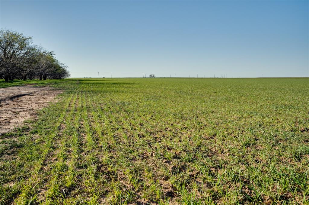 NA - Farm