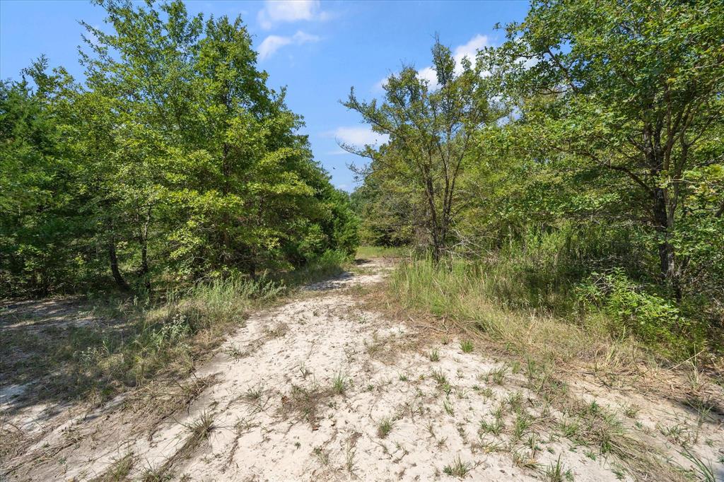Purtis Creek I - Land
