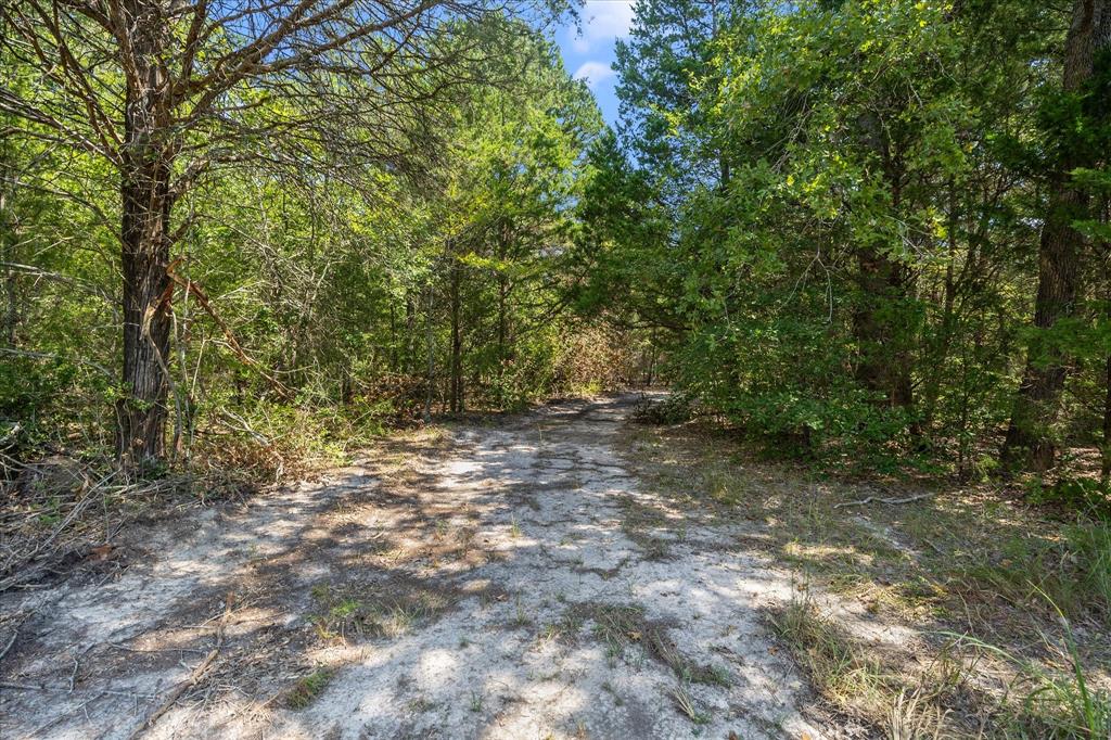 Purtis Creek I - Land