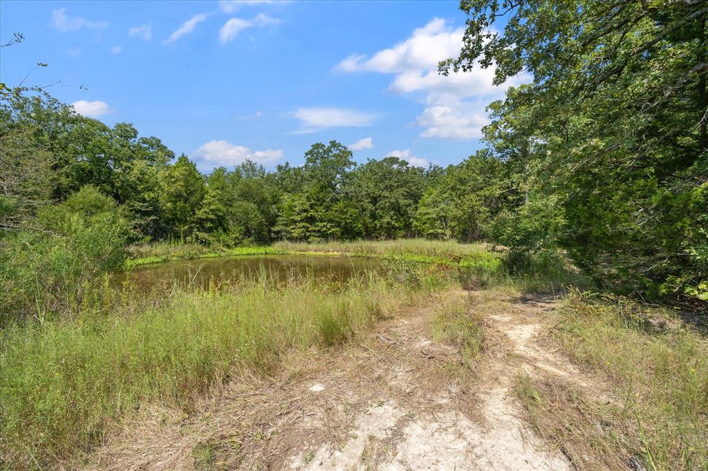 Purtis Creek I - Land
