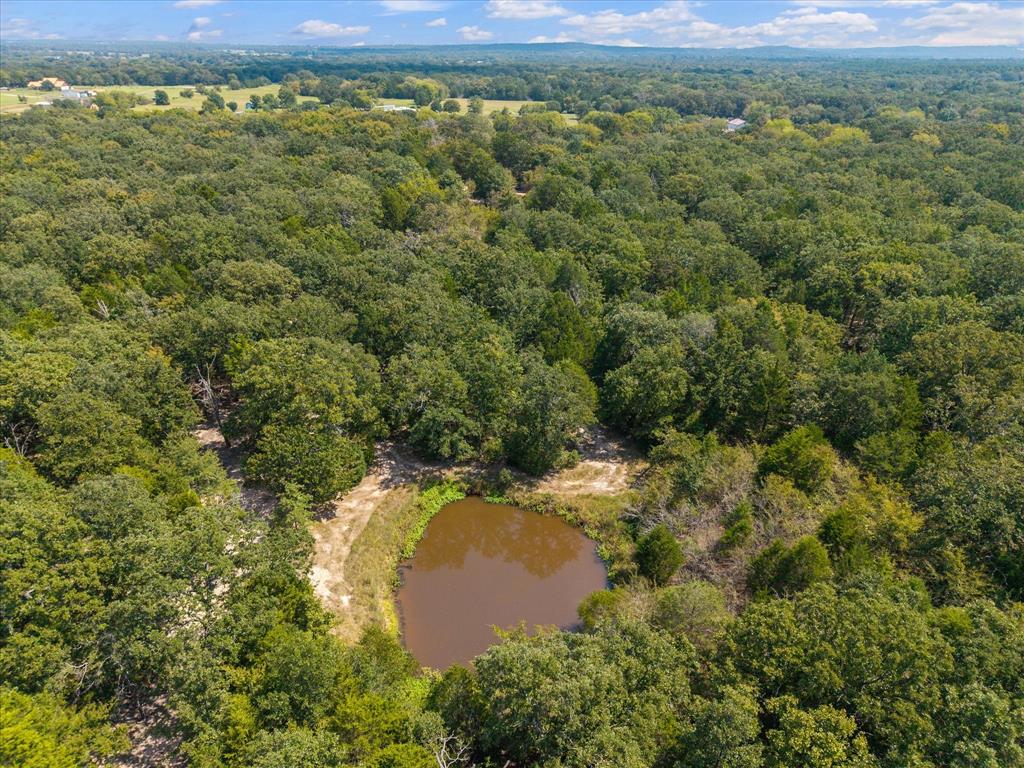 Purtis Creek I - Land