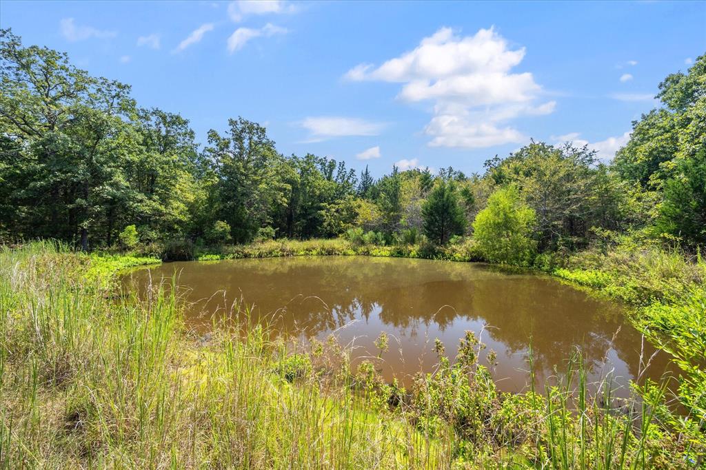 Purtis Creek I - Land