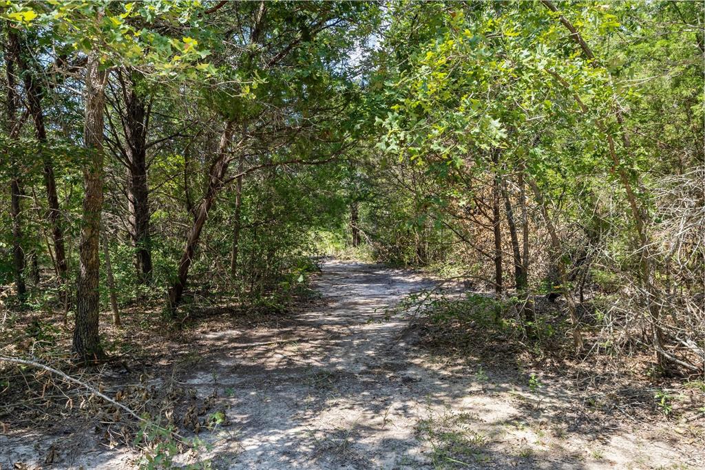 Purtis Creek I - Land