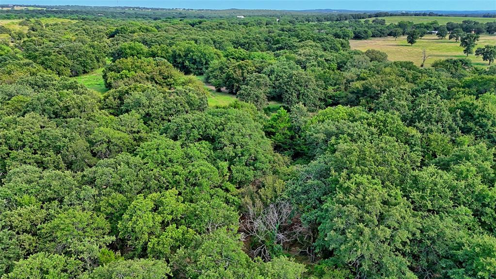 20 Acres of Near Perfection- This property is barely a mile out of town on Old Vashti Road. It's convenient location and 2 water wells, septic, carport, livestock pens and trees make this property hard to beat. If hunting, grazing cows, building a home or being secluded out in the trees is important, this is it. It is primed for building your dream home with all the hard work of electricity and well, being taken care of. It also features some coastal, a pond, creek and fenced. The property also has an older mobile home that will stay with the sale or can be removed.
