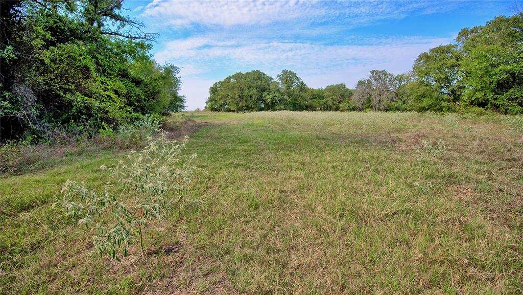 T E & L co Survey - Land