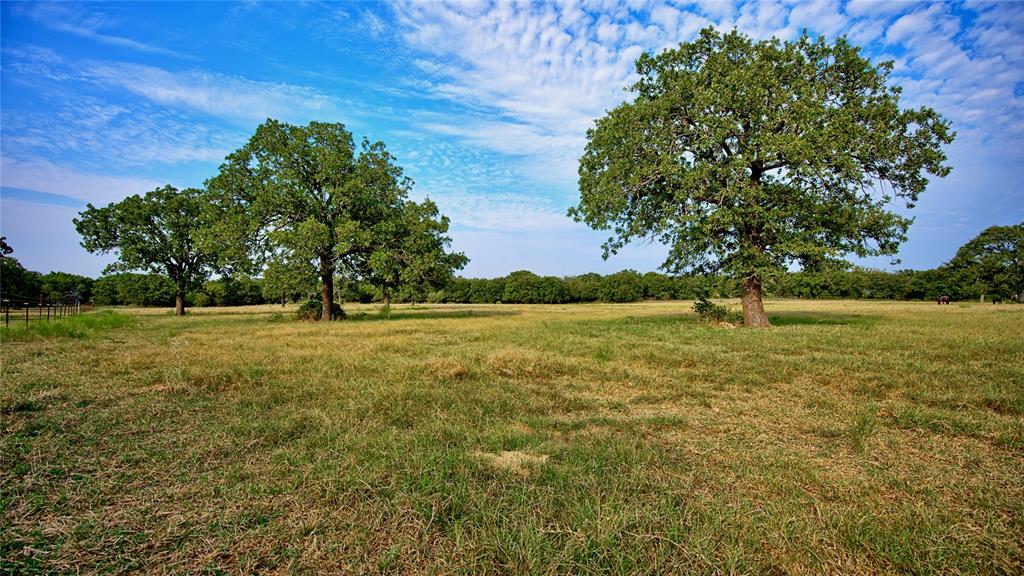 T E & L co Survey - Land