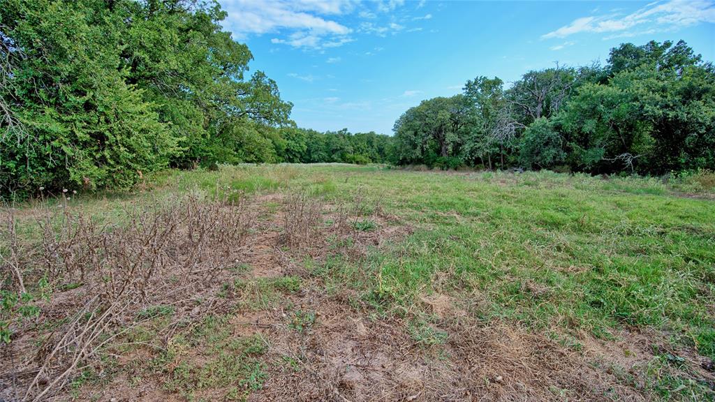 T E & L co Survey - Land