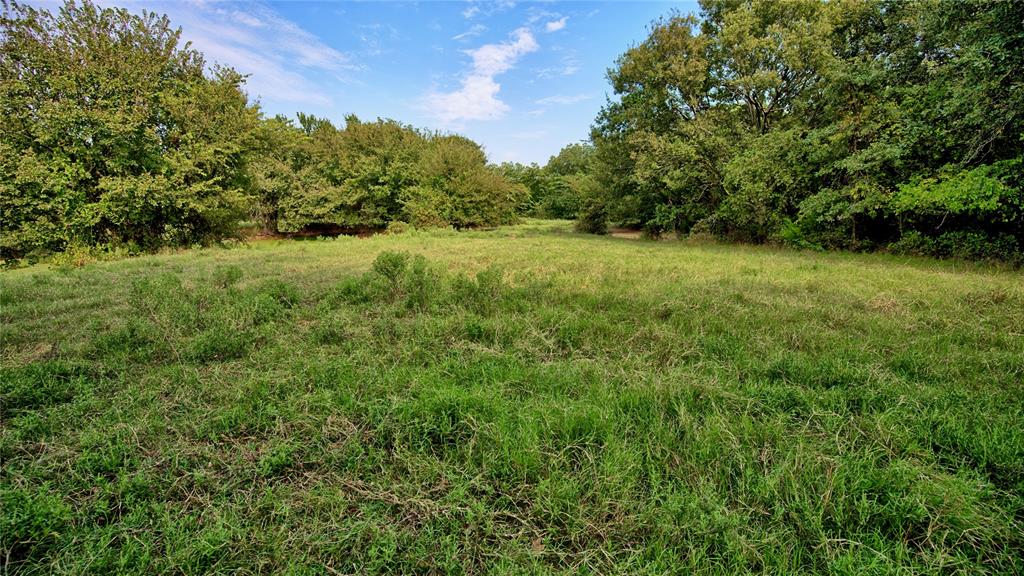 T E & L co Survey - Land