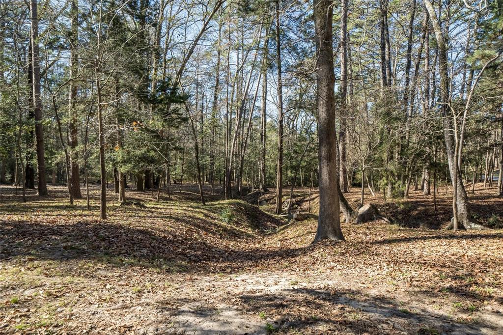 Holly Lake Ranch - Residential