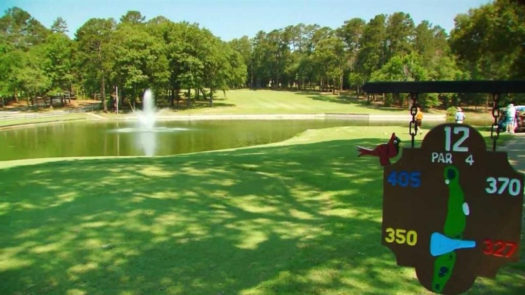 Holly Lake Ranch - Residential