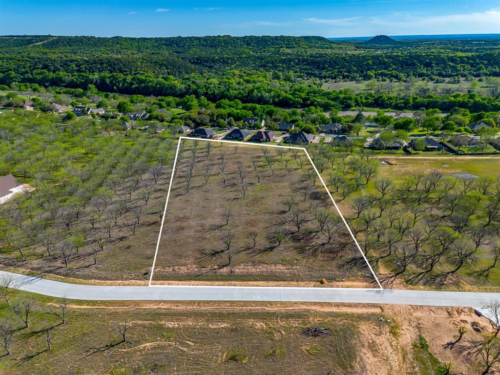 Pecan Plantation - Land