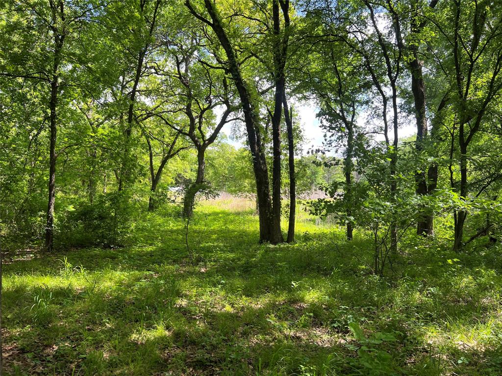 NEW LISTING!

Beautiful Wooded Acreage on Private Rd Near Alvarado Lake.  This property has abundant wildlife,  and would make a Beautiful location for homesite.
Abundant trees and dry weather creek, and sandy soil.  No restrictions,