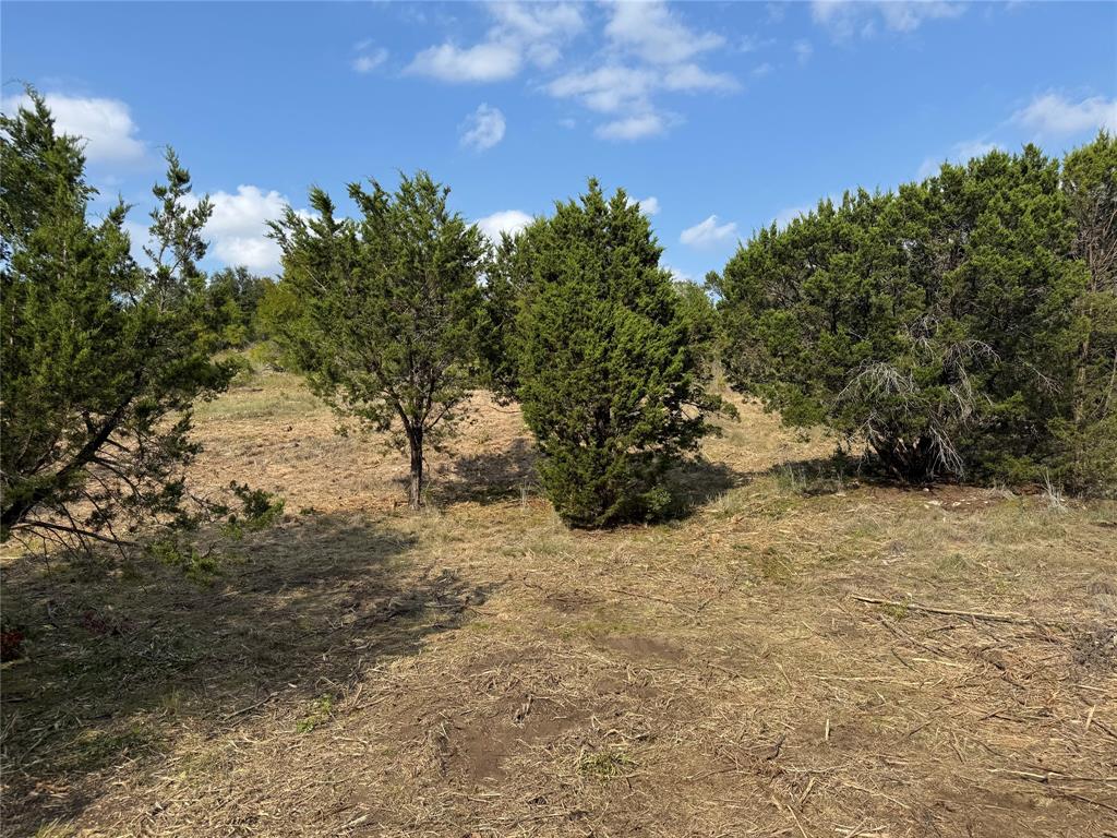 Hills Above Possum Kingdom Lake - Land