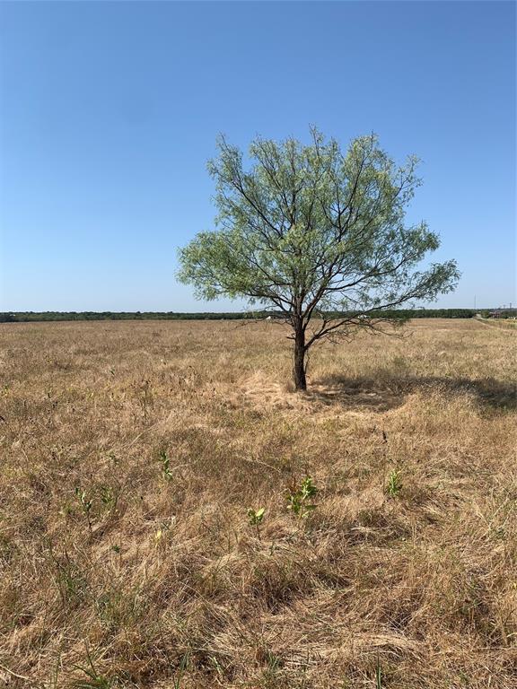 None - Farm