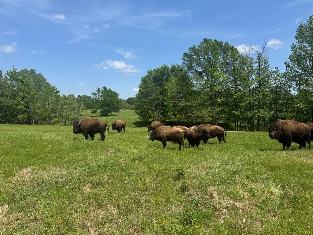 HARRISON COUNTY SC HOOL LAND,TRACT 1 - Land