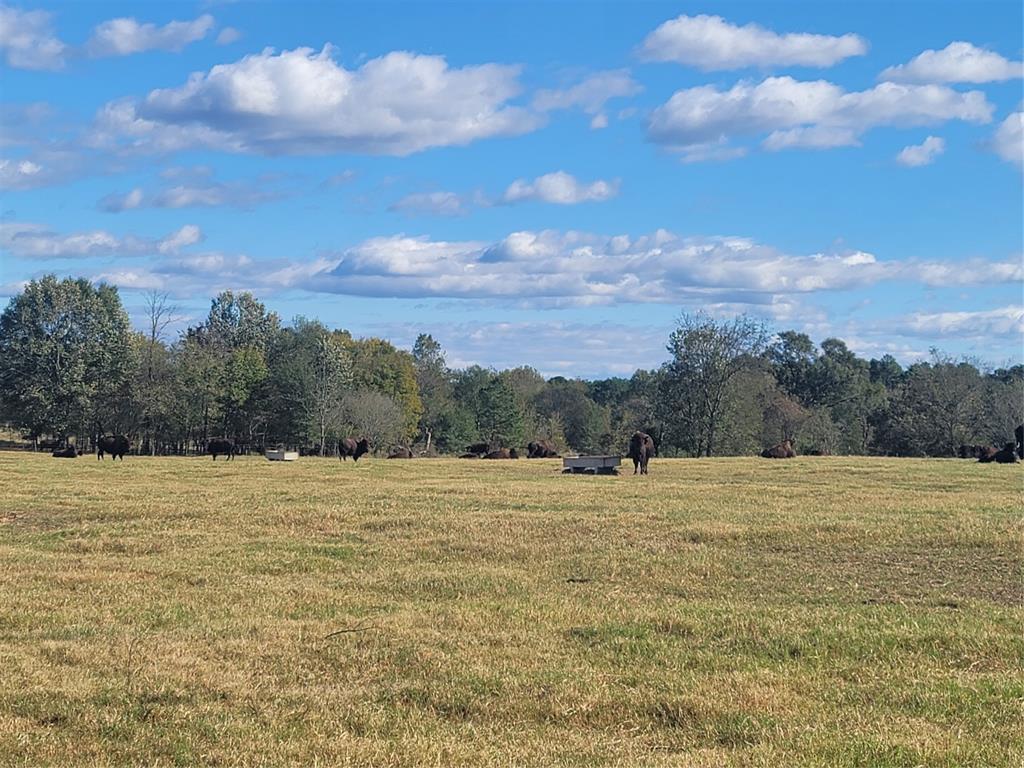 HARRISON COUNTY SC HOOL LAND,TRACT 1 - Land