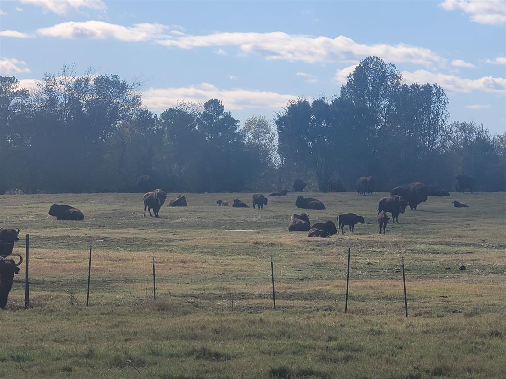 HARRISON COUNTY SC HOOL LAND,TRACT 1 - Land