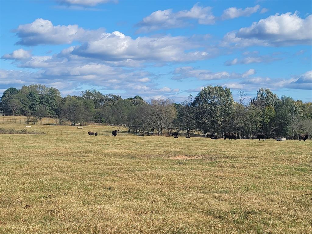 HARRISON COUNTY SC HOOL LAND,TRACT 1 - Land