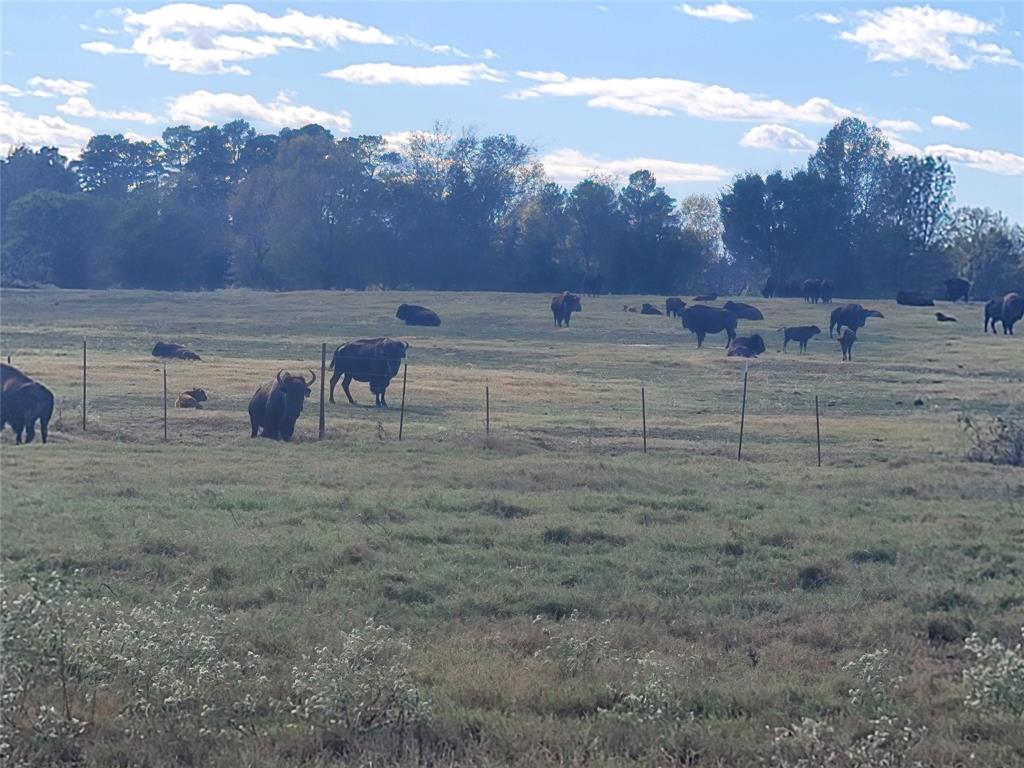 HARRISON COUNTY SC HOOL LAND,TRACT 1 - Land