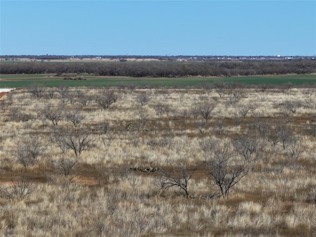Wheat Row - Land