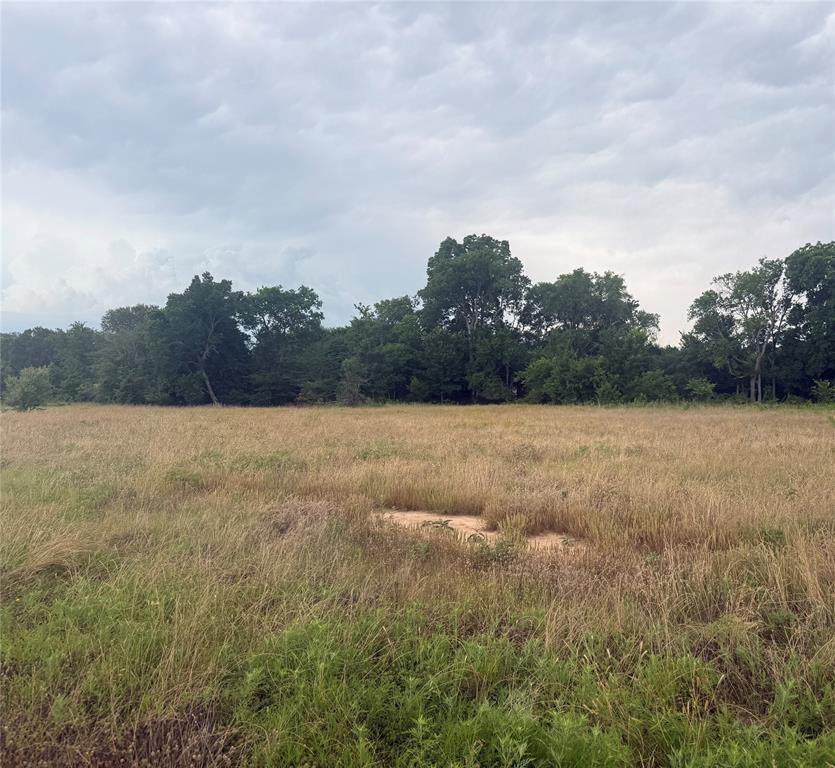 PECAN OAK TRAILS 2021 - Land
