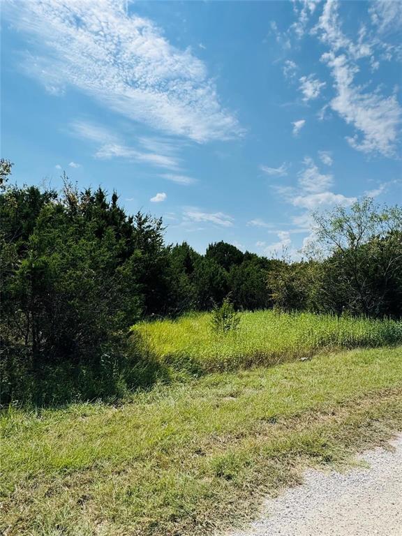 White Bluff #36 - Land