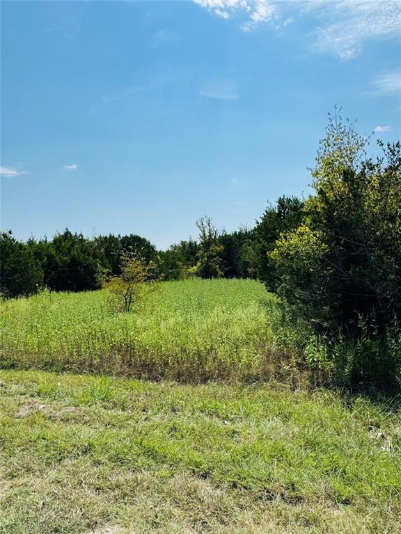White Bluff #36 - Land