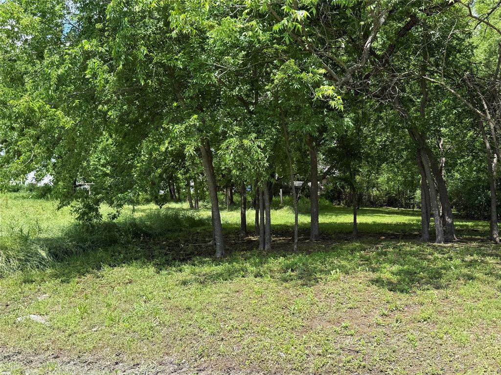 Take advantage of this great opportunity to own a vacant lot in a quiet, established area of Bonham. Located just minutes from downtown and with easy access to Hwy 121 and Hwy 82, this lot is ideal for a future home or investment property. Utilities are available at the street (buyer to verify). With a manageable size and convenient location, this property offers flexibility for a variety of uses.
Also available for purchase:
501 Katy Blvd – Corner lot with existing structure
503 Katy Blvd – Residential structure in need of repair
816 & 820 E 6th St – Two additional lots offering expanded development options
All properties being sold as-is. Great value for builders, investors, or anyone looking to build in a growing area.