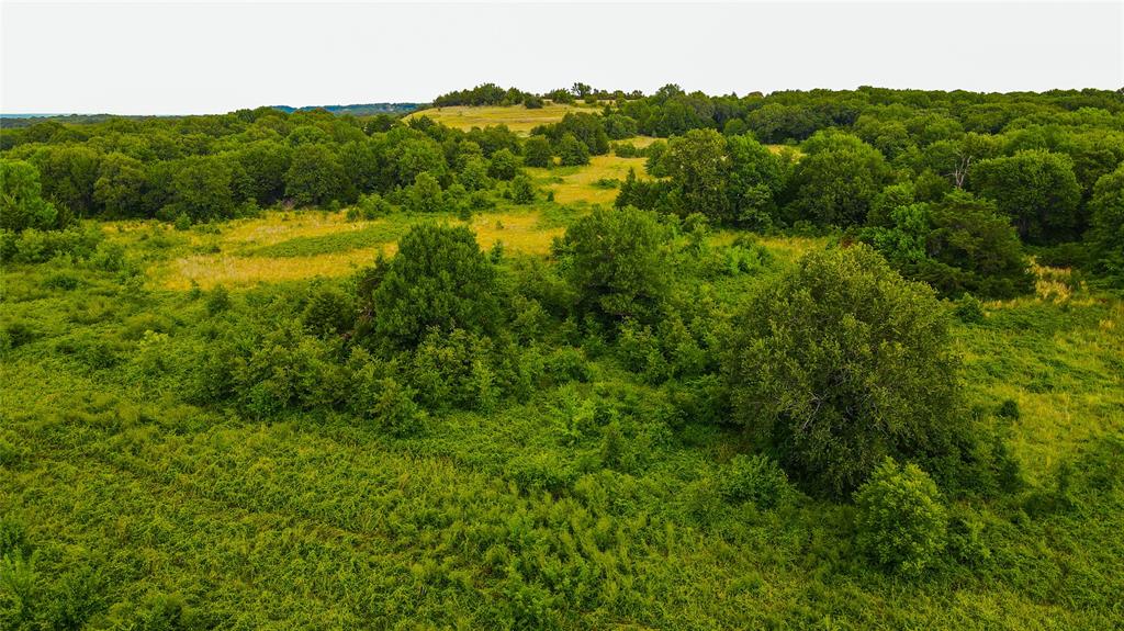 Hamilton F - Farm