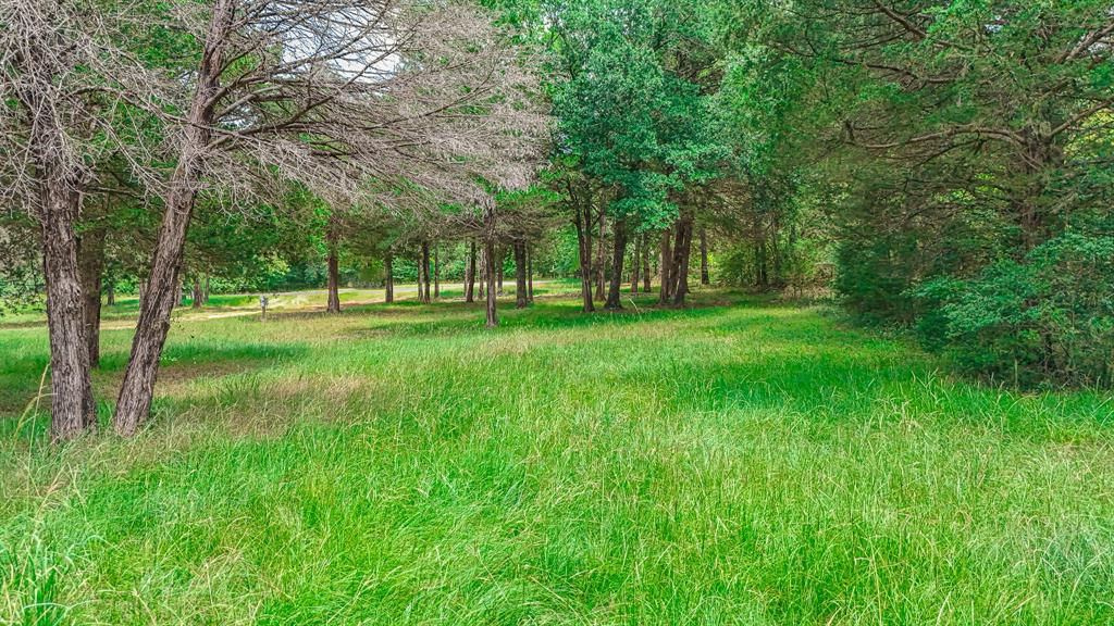 Wilderness Ph IV - Land