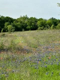 Longview Creek Ranch - Land
