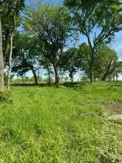 Longview Creek Ranch - Land