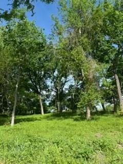 Longview Creek Ranch - Land