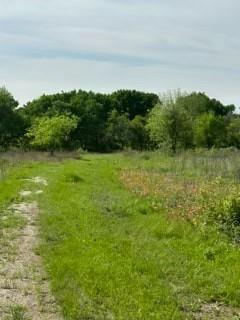 Longview Creek Ranch - Land