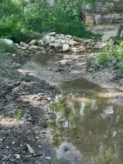 Longview Creek Ranch - Land