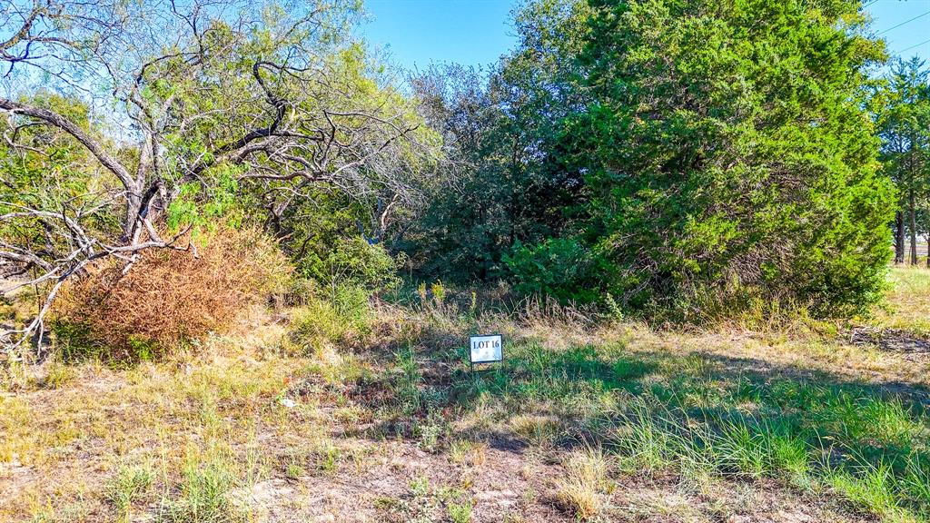 Carmel Valley Estates - Land