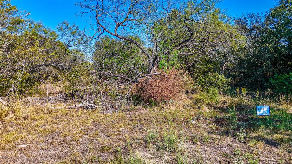 Carmel Valley Estates - Land