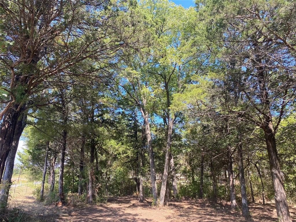 Lost Pines - Land