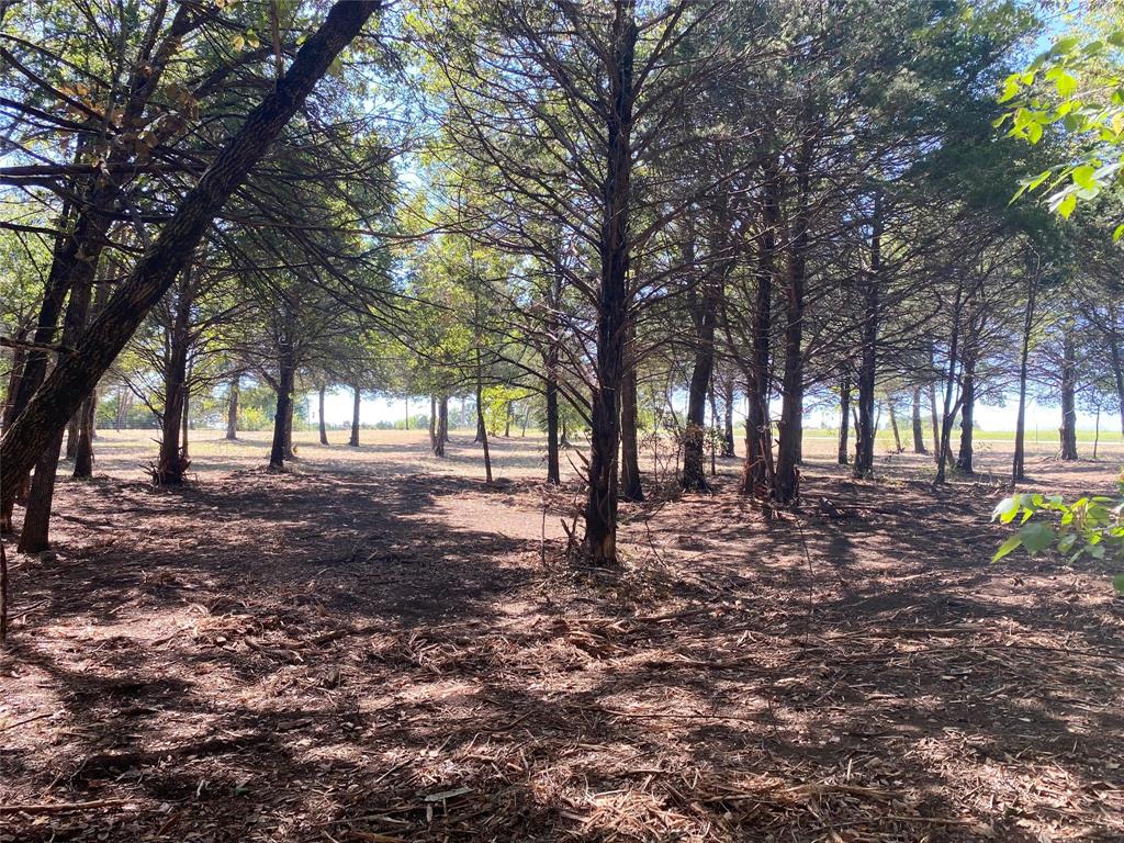 Lost Pines - Land