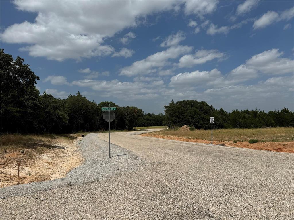 Cedar Springs Estates - Land