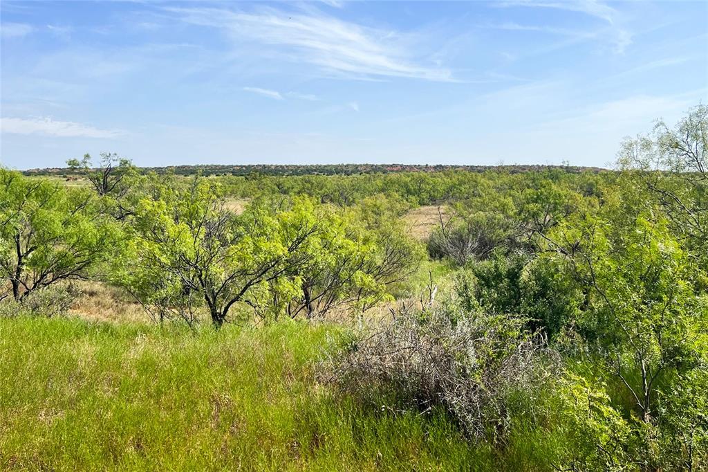None - Farm
