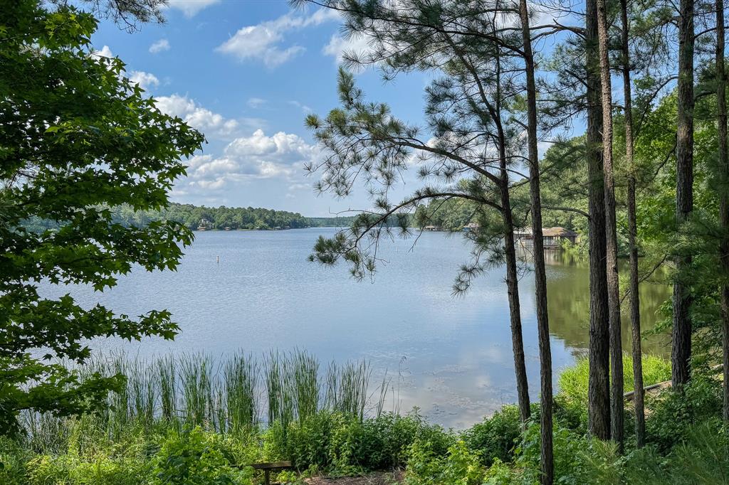 Holly Lake Ranch (Sec 8) - Residential